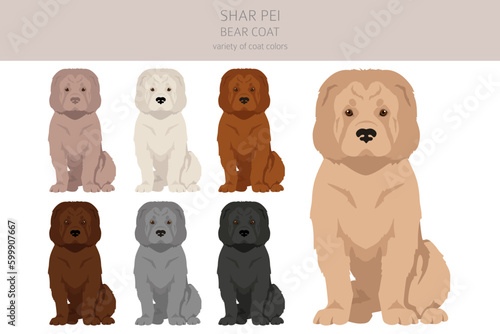 Shar Pei bear coat clipart. Different poses, coat colors set photo
