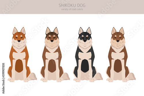 Shikoku dog coat colors, different poses clipart