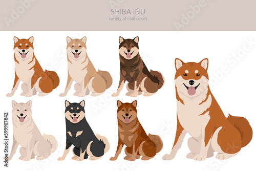 Shiba Inu, Japanese small size dog coat colors, different poses clipart