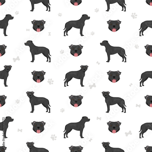 Staffordshire bull terrier seamless pattern photo