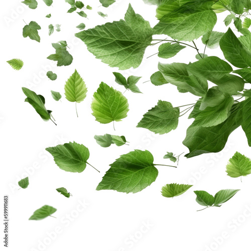 Green leaves flying in air. Transparent isolated background. AI generated