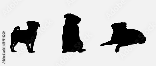 isolated black silhouette of a pug dog , vector collection