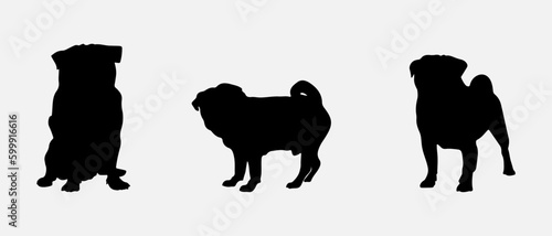 isolated black silhouette of a pug dog , vector collection