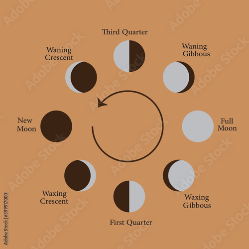 Moon  phases Icon Vector Image Illustration 