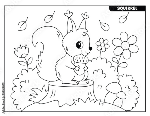 Squirrel coloring pages for kids