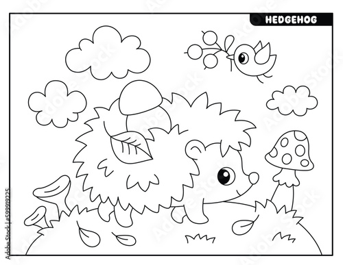 Hedgehog coloring pages for kids
