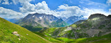 Green meadows in summer Alps