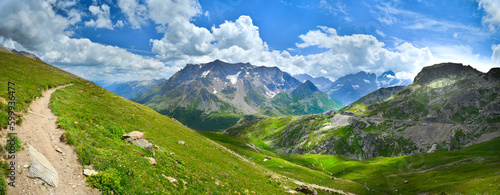 Green meadows in summer Alps