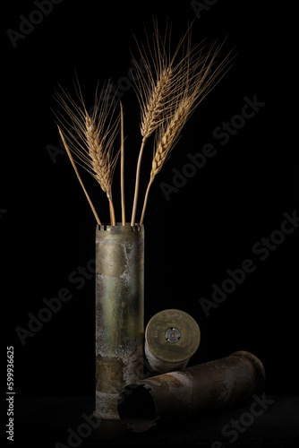 One anti-aircraft gun shell as vase for three wheat stalks