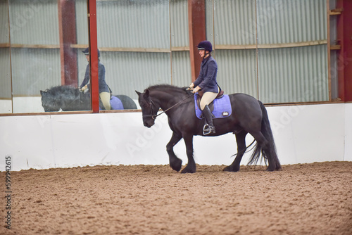 Fell pony trotting in show, dressage outfit, riding in arena, school or menage