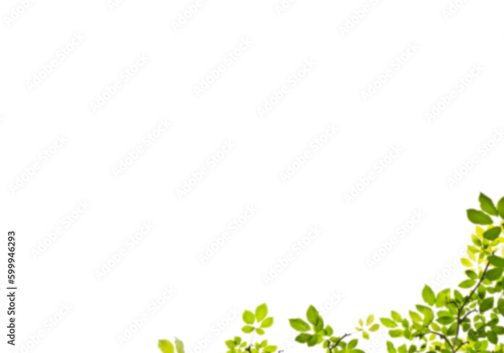 green leaves branches background png green leaves branches background png