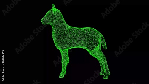 3D lamb on black background. Object made of shimmering particles. Wild animals concept. For title  text  presentation. 3d animation.