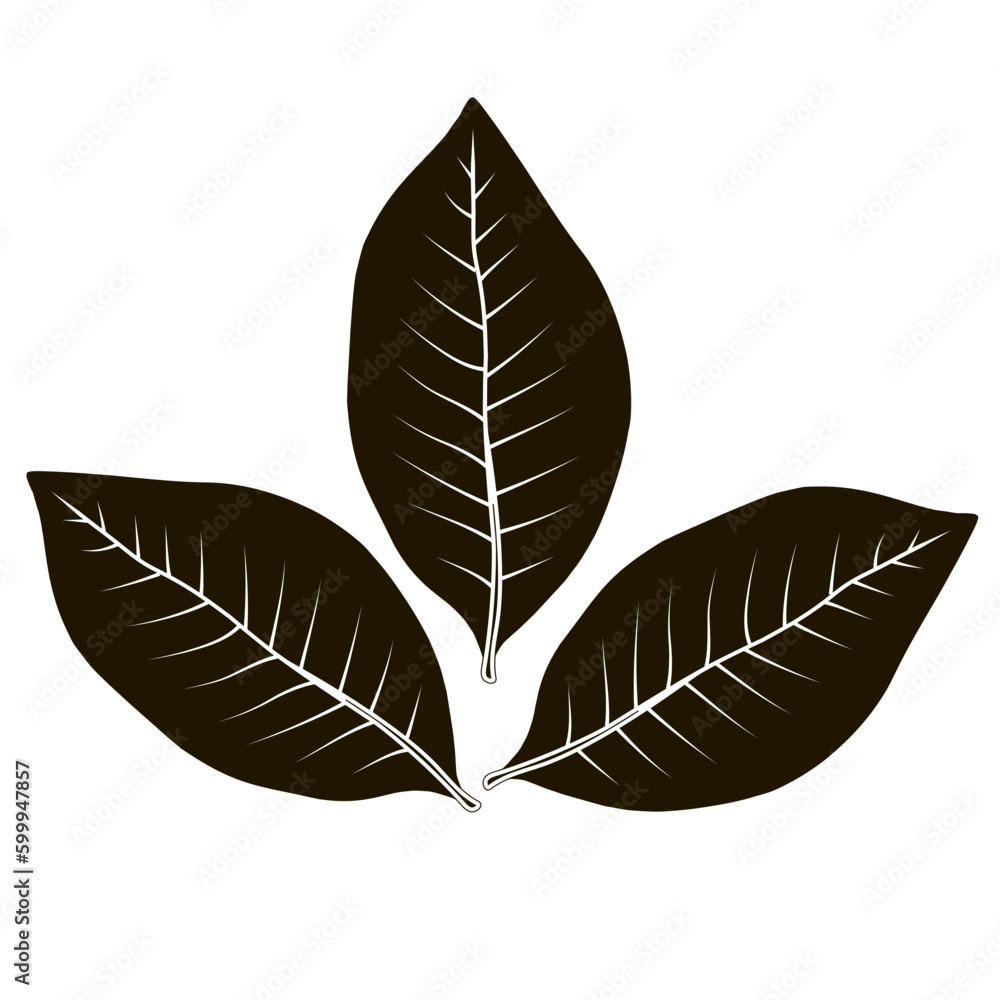Fototapeta premium Tobacco leaves - stock vector 