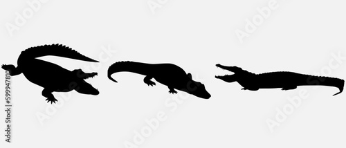 isolated black silhouette of a crocodile , vector collection