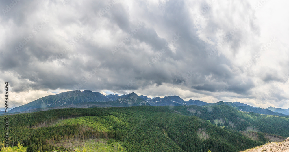 Panorama of the Polish High Tatras from the Kopieniec Wielki hill above the city of Zakopane on a cloudy summer day.