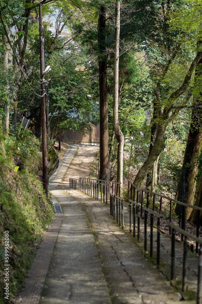 Kyoto Country Side Walk Way Kyoto Country Side Walk Way
