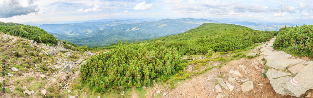 Panorama of the Beskid Żywiecki peaks (Poland) seen from a place near the Sokolica peak from the red tourist trail on the way to Babia Góra from the Krowiarki pass on a cloudy summer day.