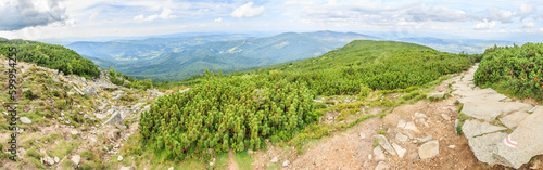 Panorama of the Beskid Żywiecki peaks (Poland) seen from a place near the Sokolica peak from the red tourist trail on the way to Babia Góra from the Krowiarki pass on a cloudy summer day.