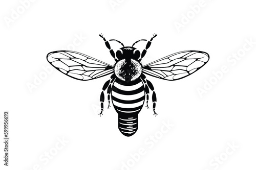 dragonfly on white background Minimal Vector Logo Design Tshirt Sublimation Illustration tattoo design