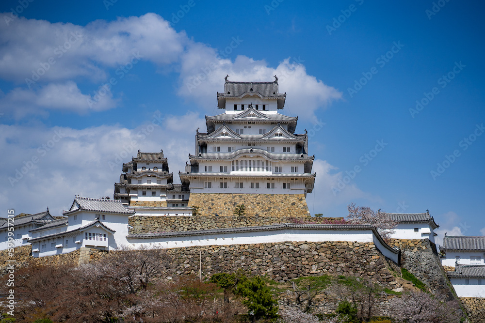 Himeji Castle Wide View during Spring Season Himeji Castle Wide View during Spring Season