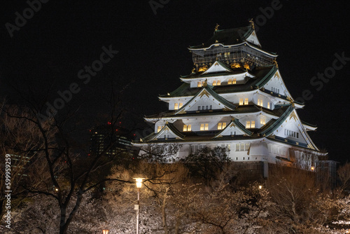 Osaka Castle Night Time