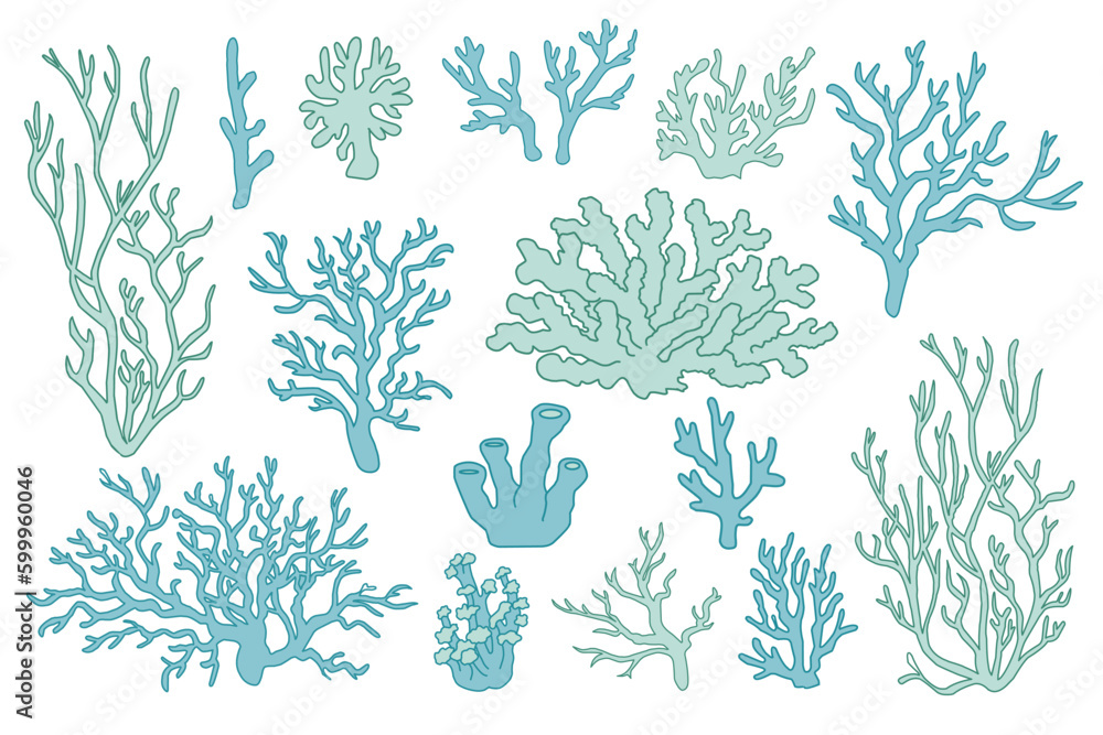 Corals and seaweed. Vector Hand Drawn. Sketch Botanical Illustration. Underwater flora, sea plants. Line art clipart. Vintage pink and blue marine plants Corals and seaweed. Vector Hand Drawn. Sketch Botanical Illustration. Underwater flora, sea plants. Line art clipart. Vintage pink and blue marine plants