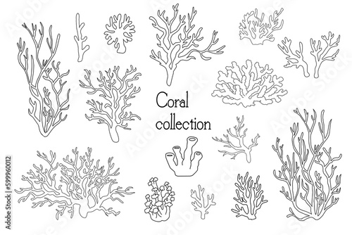 sea corals and seaweed black silhouette vector isolated