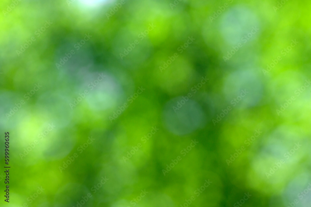 Obraz premium Green bokeh background and sunlight