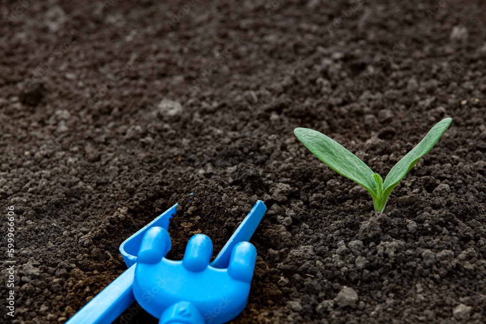 Small sprout and kids gardening tools. Close-up