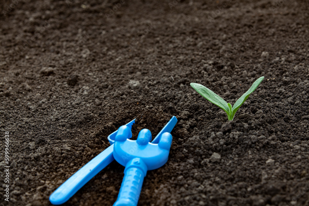 Small sprout and kids gardening tools. Medium shot with copy space.
