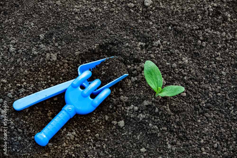 Small sprout and kids gardening tools. Green future concept. Top view.