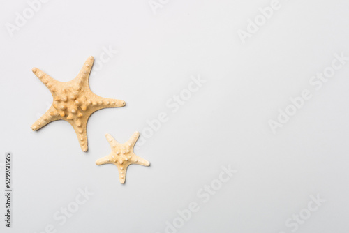 Starfishes on color background, top view