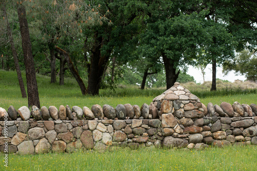 Stone wall in grassy countryside
