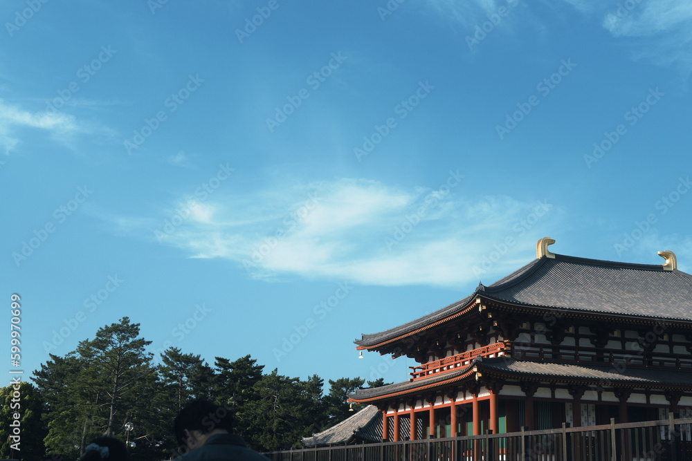 Obraz premium 奈良の風景