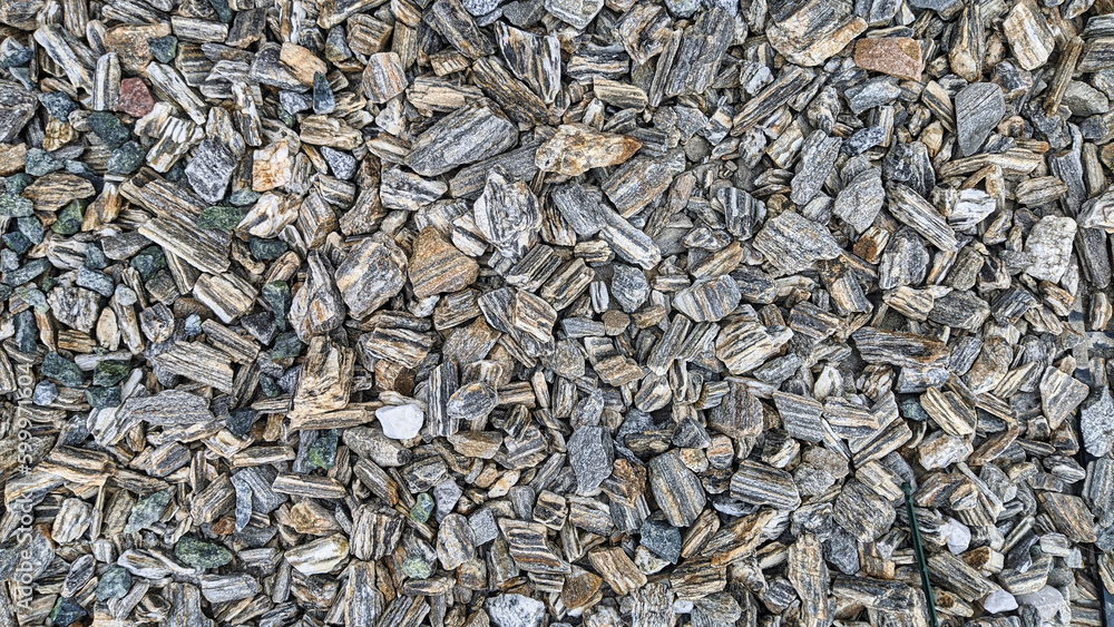 Seeds background Seeds background