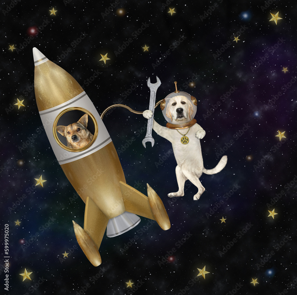 Dog labrador space mechanic fixing rocket Dog labrador space mechanic fixing rocket