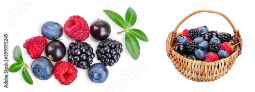 mix of blackberry blueberry raspberry isolated on white background. Top view. Flat lay pattern