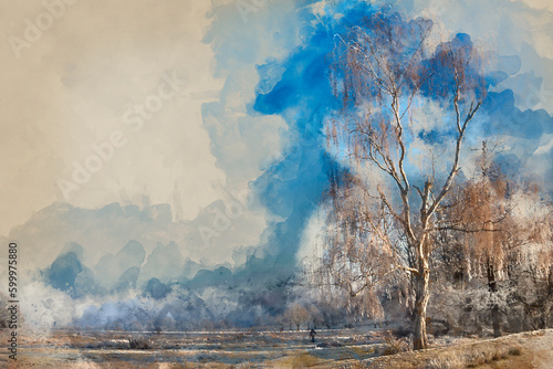 Digital watercolour paintin...