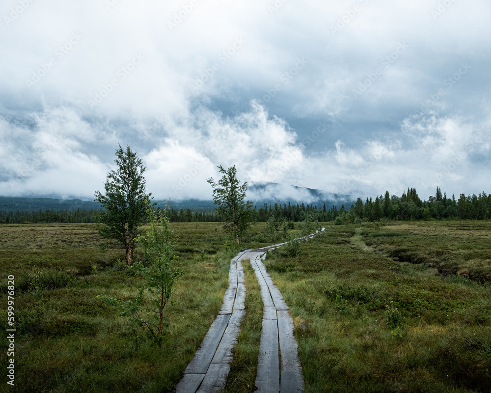 Fototapeta premium hiking trail in swedish mountains