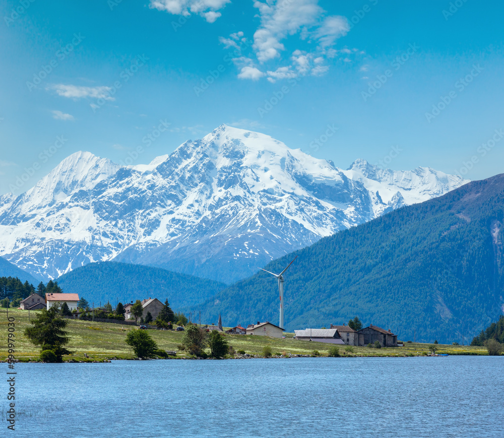 Summer Reschensee view with blossoming dandelion Alpine meadow (Italy) Summer Reschensee view with blossoming dandelion Alpine meadow (Italy)