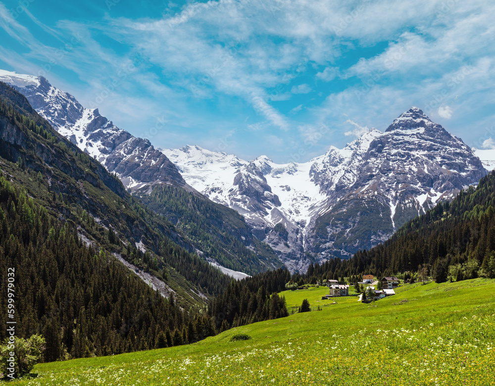 Summer Stelvio Pass with snow on mountainside and blossoming meadow (Italy)