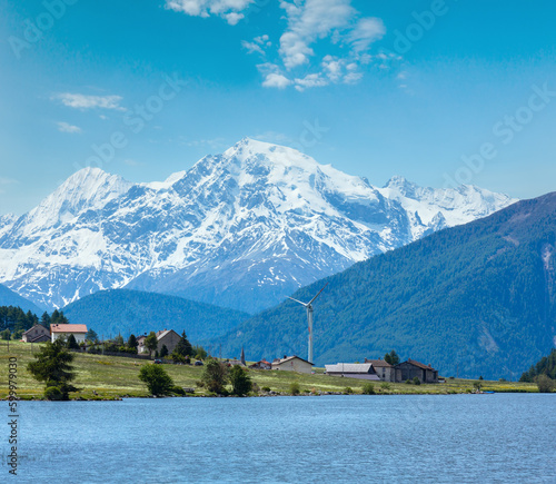 Summer Reschensee view with blossoming dandelion Alpine meadow (Italy)