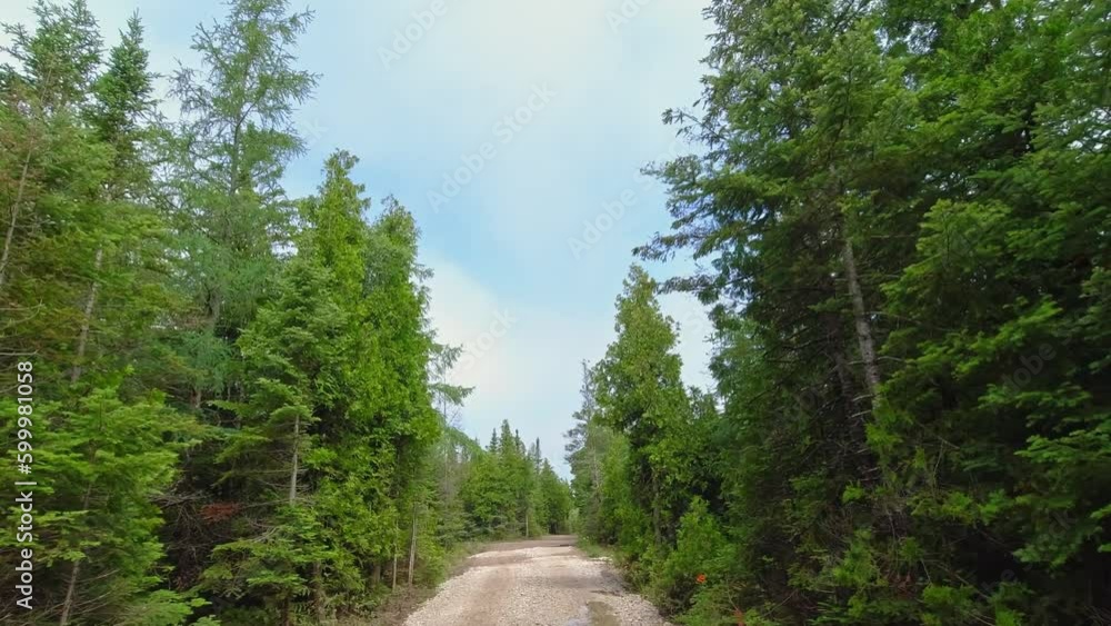 Vehicle point- of- view driving off road outdoors. Car on country road in wild pine forest. Traveling offroad and exploring nature at countryside during summer. American wilderness and woodlands. Vehicle point- of- view driving off road outdoors. Car on country road in wild pine forest. Traveling offroad and exploring nature at countryside during summer. American wilderness and woodlands.