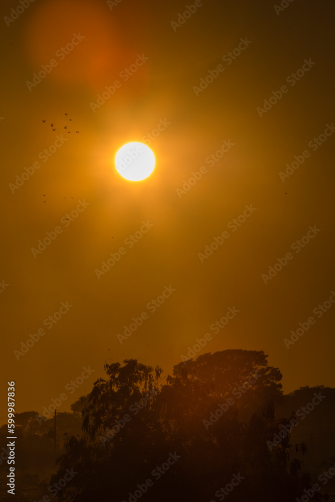 Obraz premium Brazilian Sunrise Very beautiful, the sunrise in brazilian savannah has many colors.