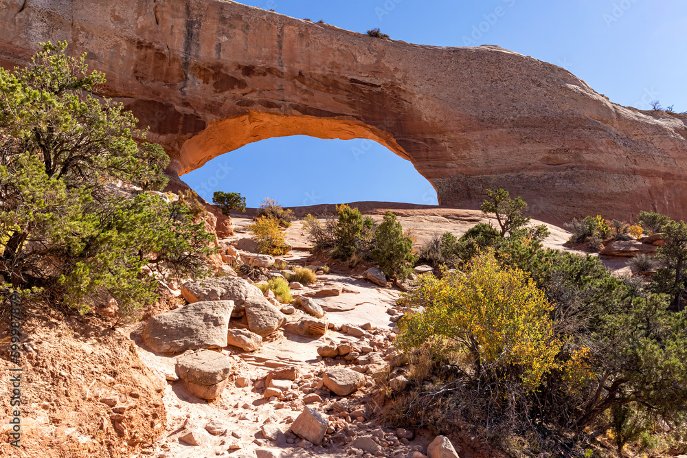 Natural Red sandstone arch formation and desert vegetation in Arches National Park in Utah