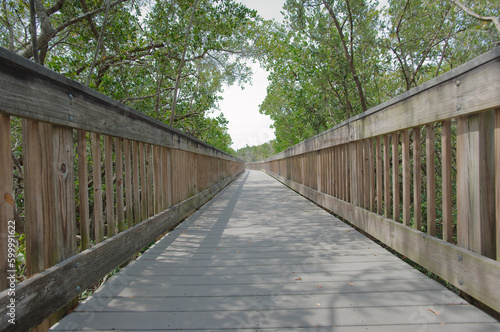 Nature Boardwalk Low angle view with leading lines.