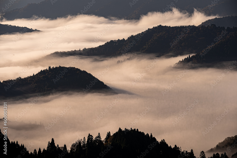 Obraz premium 滋賀 - 【おにゅう峠の雲海】