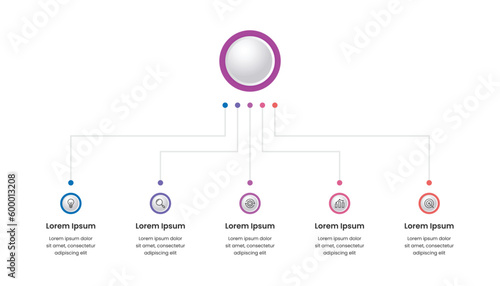 Business hierarchy chart infographics design template
