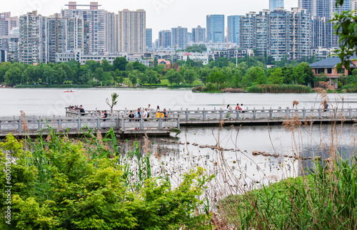 Bird Protection Base of West Lake Park in Changsha City, Hunan Province, features a pond full of fish and shrimp, abundant water and grass, thriving natural ecology, beautiful wetland environment。