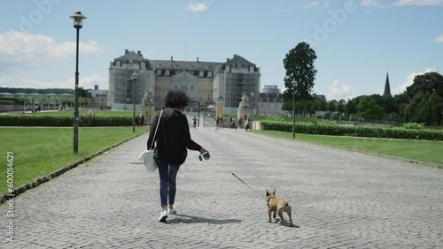 Woman with french bulldog on lace walking on pavement in Bruhl castle near Colongne, Germany photo